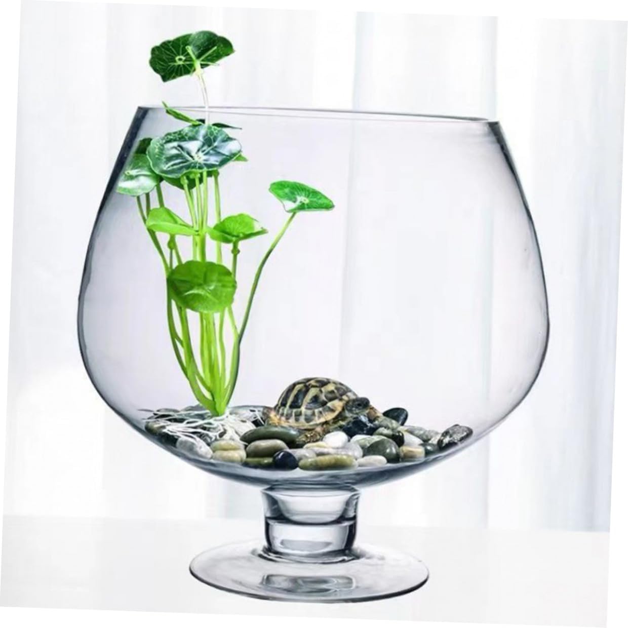 Abaodam Glass Goldfish Tank Multi-Function Desktop Aquarium 4000ml Hydroponic Plant Betta Fish Bowl Office Tabletop Decor