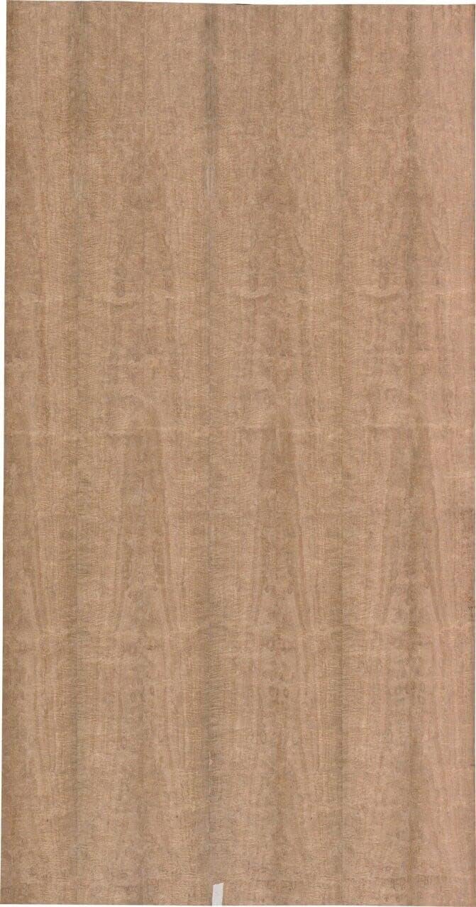 Eucalyptus Pommele wood veneer 43" x 87" on paper backer 1/40" thickness