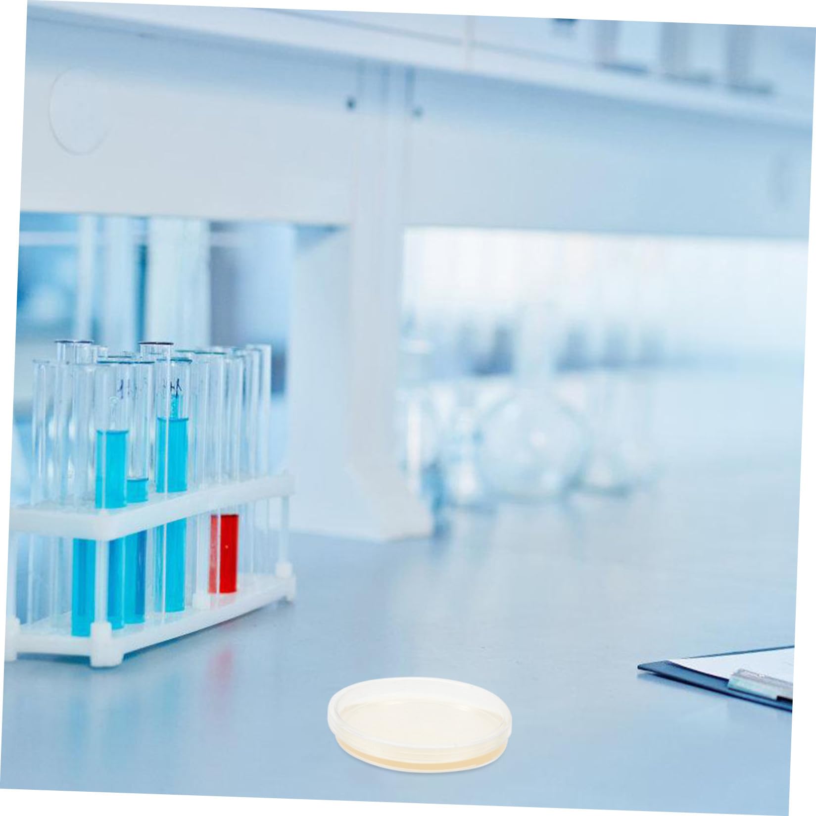 Placas de Petri de Agar Lb 9cm, 20 Pcs, Ps, Redondas | Prevertidas y Estériles, para Cultivo Microbiano y Laboratorio Escolar, Crecimiento Estable