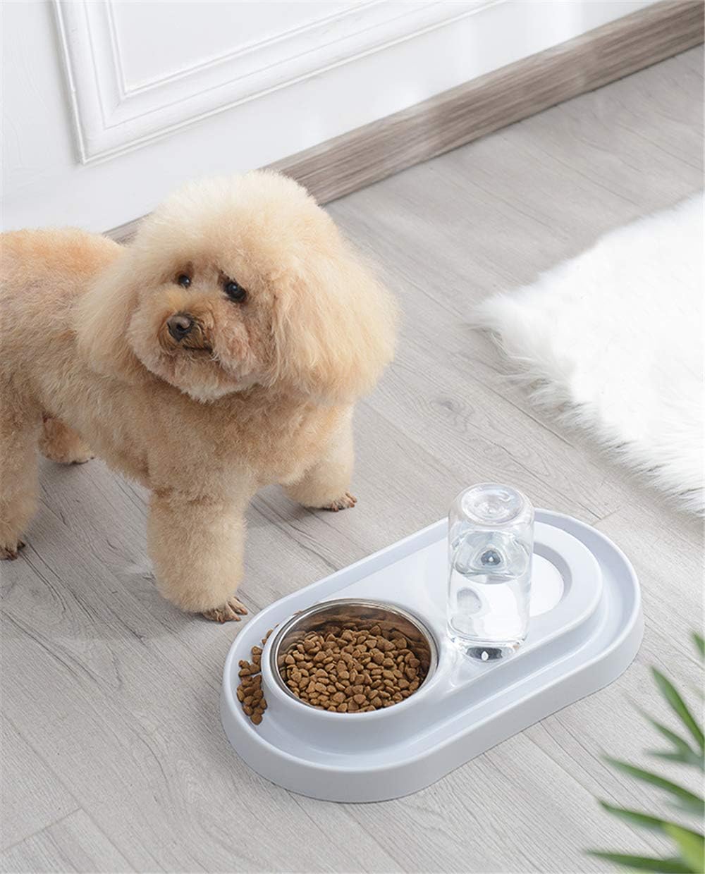 Dual Small Dog Bowls Non-Slip Dogs Feeder Pet Bowls Detachable Stainless Steel Bowl and Automatic Water Bottle for Small Dogs, Cats, Rabbits