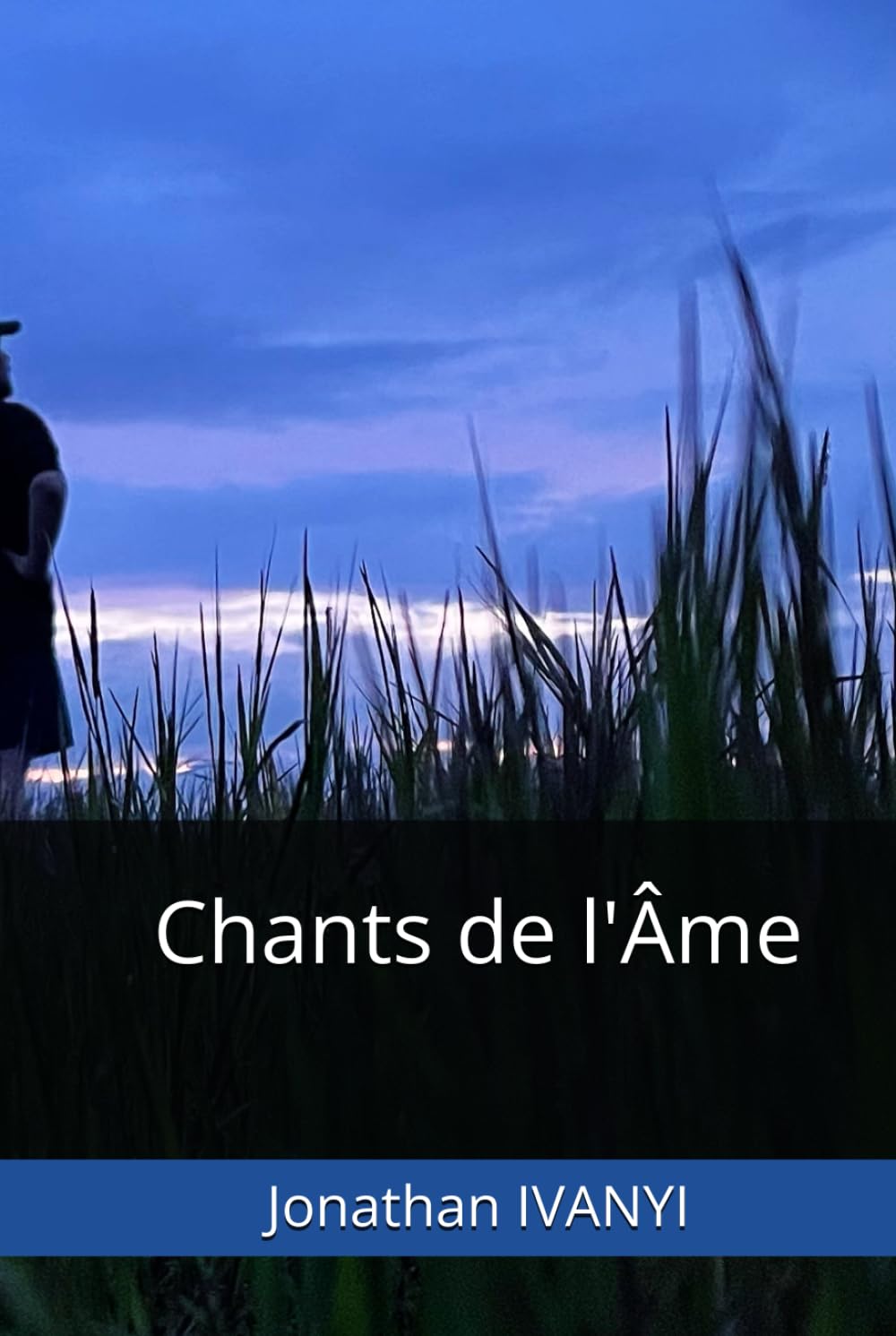 Chants de l'Âme (Mes écrits)