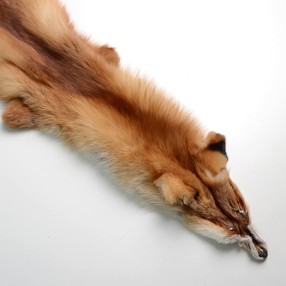 Natural Tanned Red Fox Pelts Hides Fur Fox Skin Hides for Fly Tying DIY Crafts Fur Coats Trapping Fur Taxidermy Decor 44-49 inch Red Brown