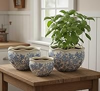 Galt International Ceramic Planters Set of 3: Rustic Vintage Farmhouse Cream Crackle Glaze Blue Floral (11", 9.6", 7") w/ Drainage Holes Indoor Outdoor