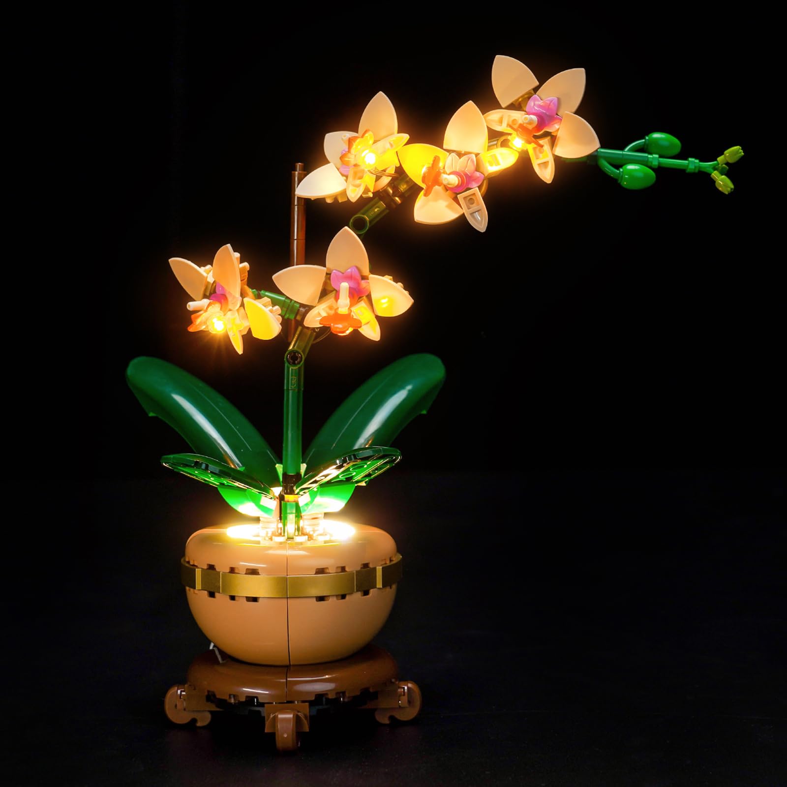 LocoLee Light kit Compatible with Lego Mini Orchid 10343- No Model Only Light, LED Lighting Accessories Compatible with Lego Elegant Orchid