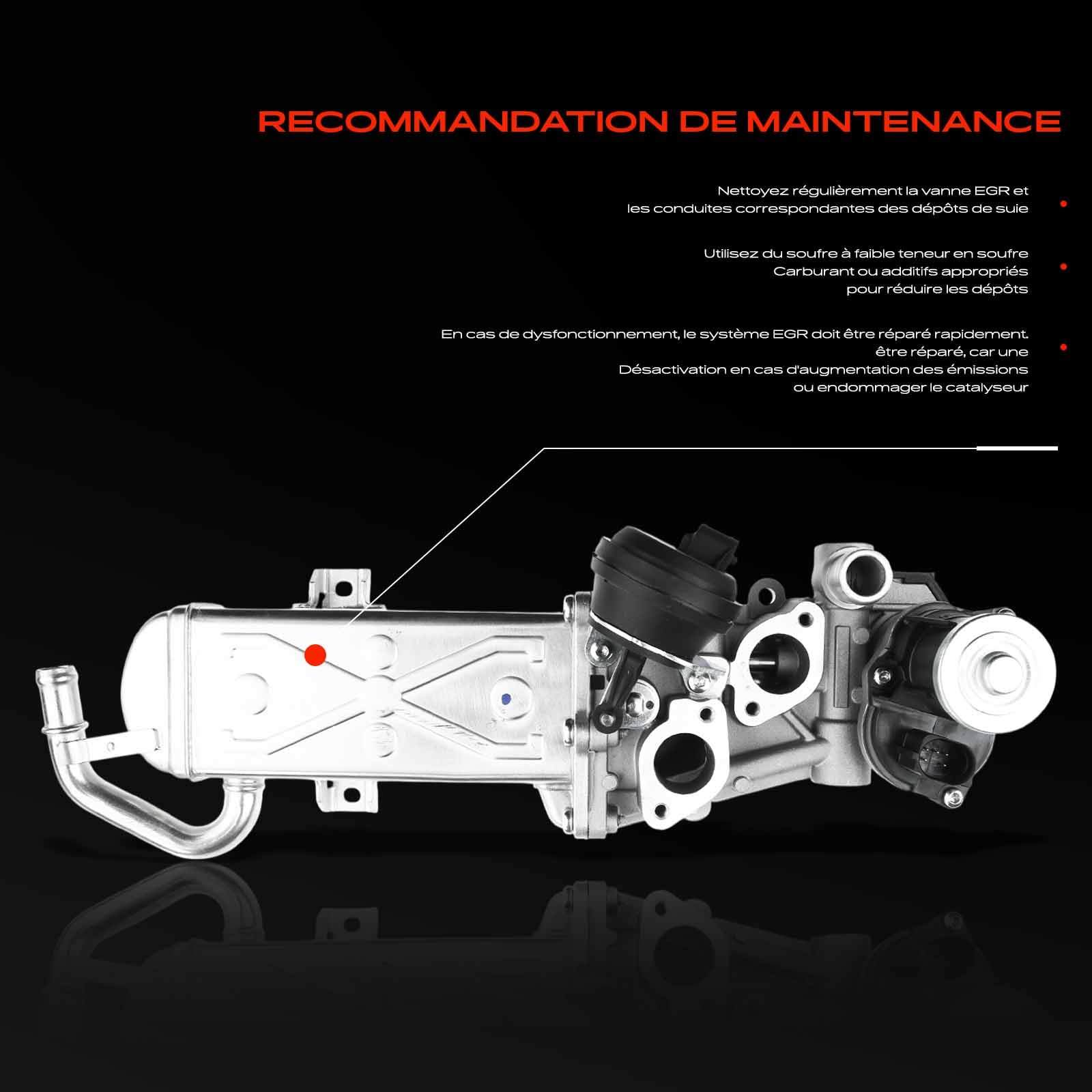 Frankberg Vanne EGR 03L131512CF | Compatible avec: A3 Sportback 8PA,,,,,L.e.o.n 1P1, 6R,