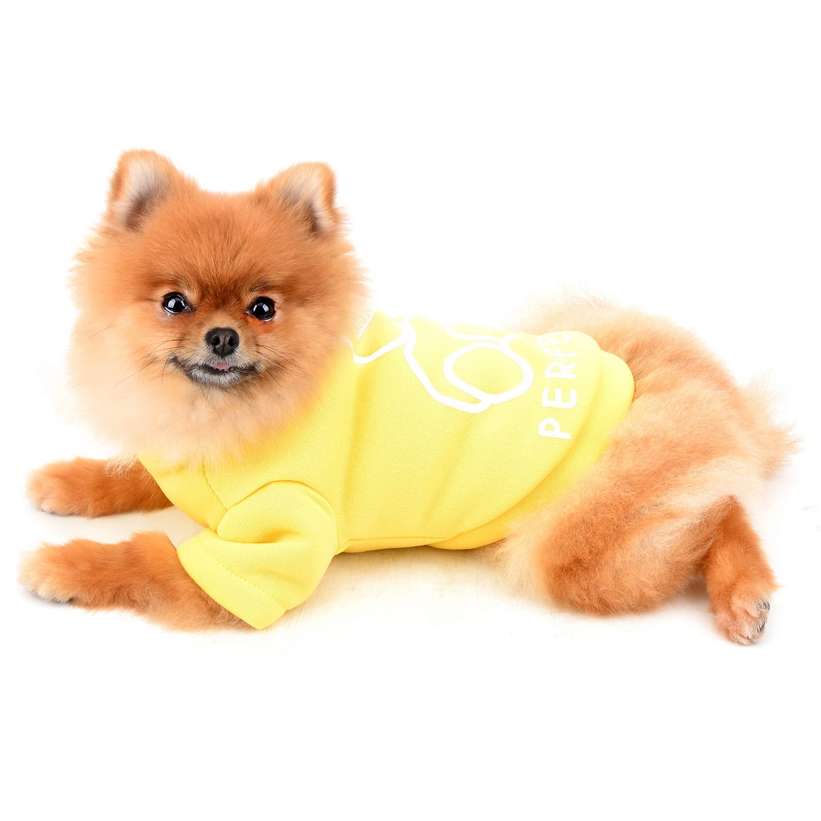 SMALLLEE_LUCKY_STORE Cute Cartoon Puppy Fleece Sweatshirt Pullover Jumper Sweater for Small Medium Dogs Cat Boy Girl Yorkie Chihuahua Kitten Warm Autumn Winter Clothes,Yellow,M - Image 2