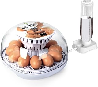 ZEMIROCHARGE Simple 12-Egg Incubator for Beginners: Auto Egg Turner, Steady Humidity & Temp Control for Chicken, Duck, Quail Eggs