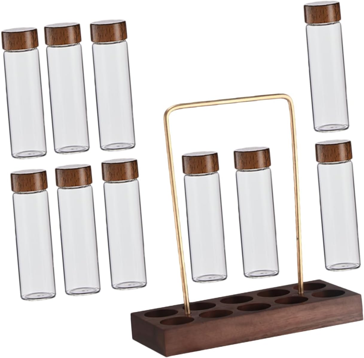 1set Coffee Bean Storage Tubes with Display Stand Glass Vials for Coffee Storage Stylish and Functional