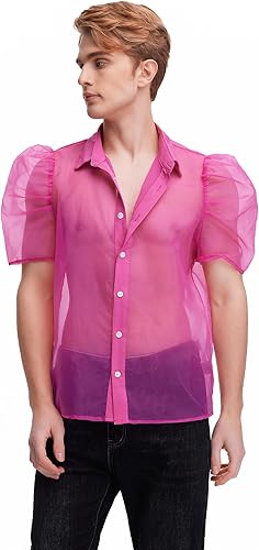 WDIRARA Men's Sheer Mesh See Through Button Front Collar Puff Short Sleeve Party