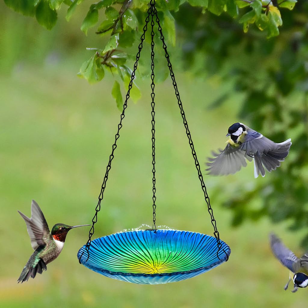 Genérico Comedero Colte De Cristal para Pájaros, Multifuncional para Comida, Agua Y Baño, 26,6 Cm, Decoración para Jardín Y Patio, cho Ligero Y Fácil De Limpiar