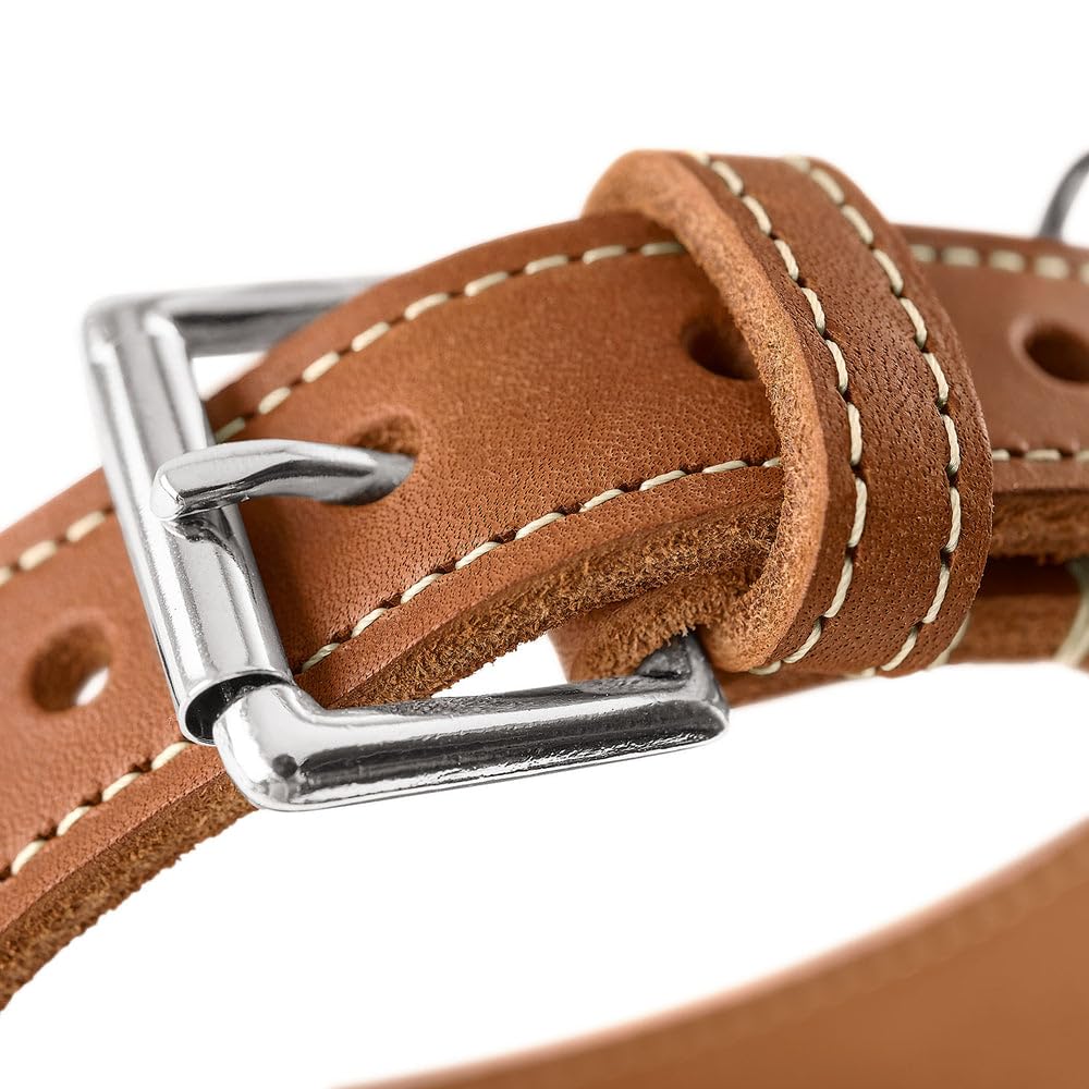 HUNTER Collar para Galgos Aalborg Color Oliva, Piel Suave Resistente, Ideal para Galgos, diseño Que distribuye la presión, Protege la Garganta, Fabricado en Alemania, Talla 52