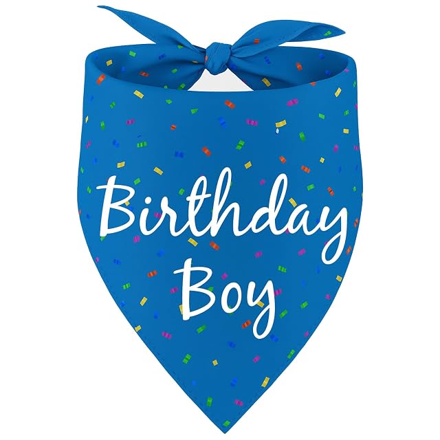 Birthday Boy Dog Bandanas Dog Birthday Party Supplies Birthdays Gift Plaid Bibs Scarf Adjustable Accessories for Small Medium