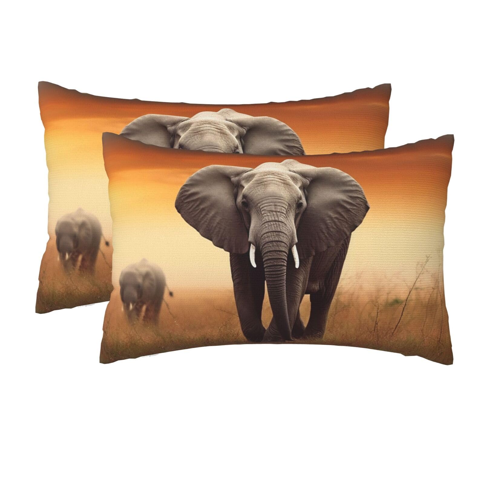 2 Pack Queen Size Pillow Cases for Hair and Skin Soft Breathable Pillow Case Covers with Hidden Zipper Cute Wild Elephant Pillowcase 20x30 Inches Pillow Cover for Sleeping Gift