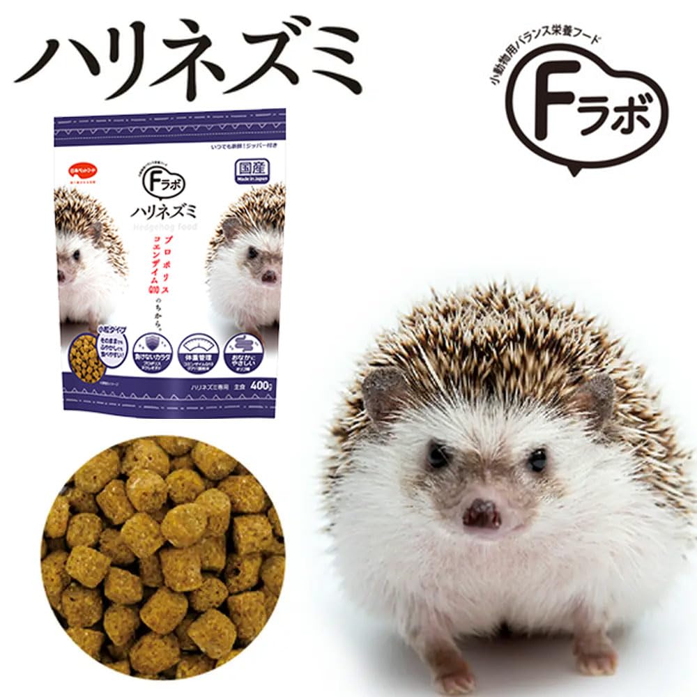ハリネズミ＆小動物飼育フルセット 【公式通販】