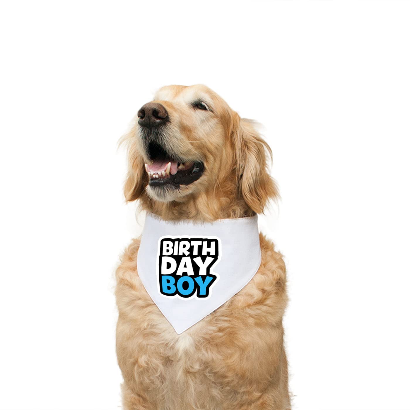 Ruse Reversible Dog Bandana Birthday Boy2 Printed 100% Cotton Off White and Blue Curacao Striped Dog Scarf/Dog Gift Adjustable Snap Button for Dogs/Large (B09RQWCYSK) Amazon Price History, Amazon Price Tracker