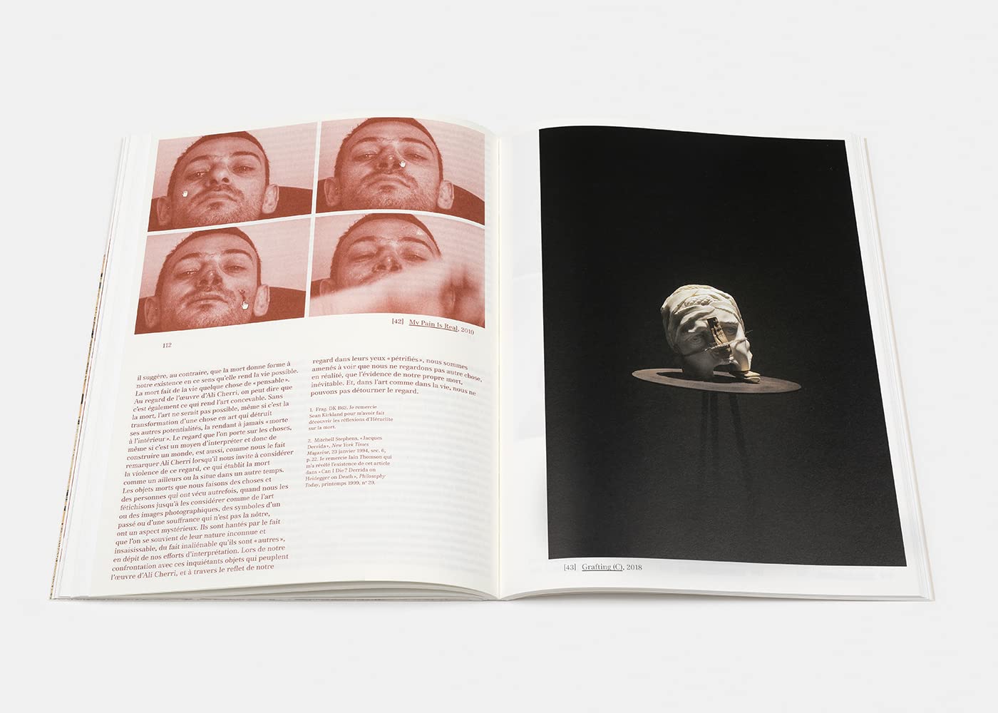 Ali Cherri: Earth, Fire, Water