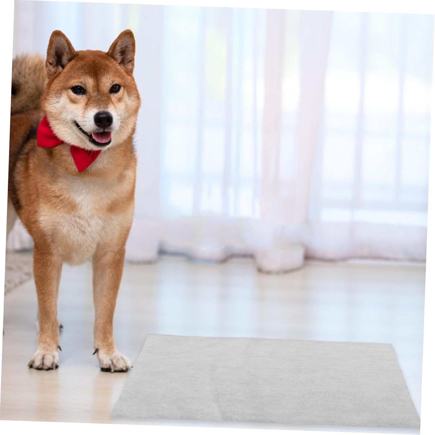 POPETPOP 100pcs Super Absorbent Pet Pee Pads Leakproof Puppy Training Mats for Dogs Cats and Rabbits Quick Drying Urinal Pads for Crates and Floors Essential Pet Care Must Haves