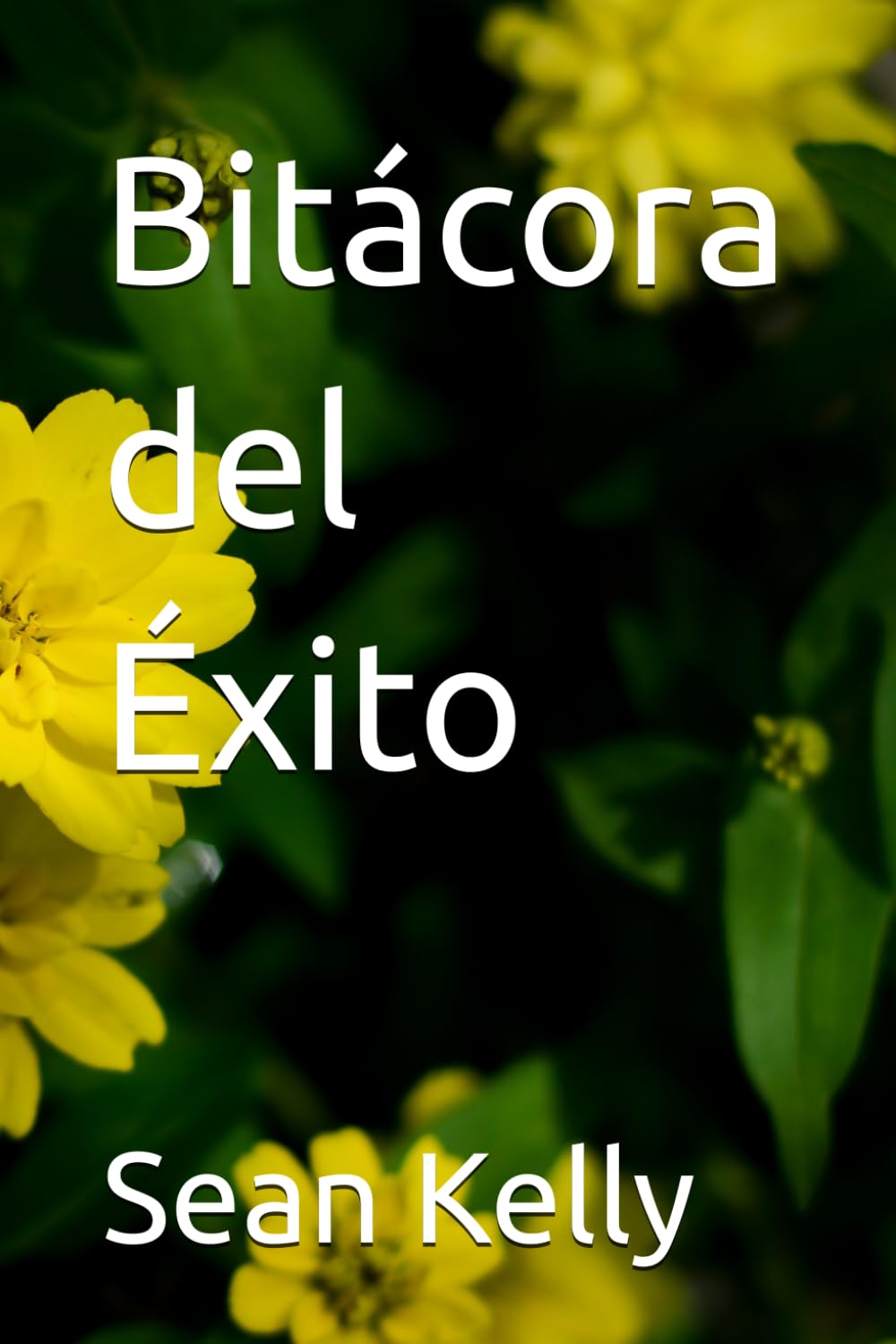 Bitácora del Éxito