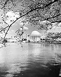 Thomas Jefferson Denkmal auf dem Gezeitenbecken, entworfen von John Russell Papst, autorisiert von 1934 und widmet 1943 Foto des 20. Jahrhunderts, Washington DC.