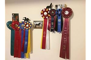 Invisible Award Ribbon Shelf