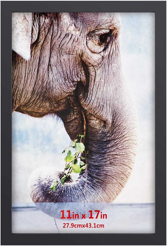 12x18 Inch Solid Wood Poster Frame with Wall Mounting Hanging Picture Frame Black -