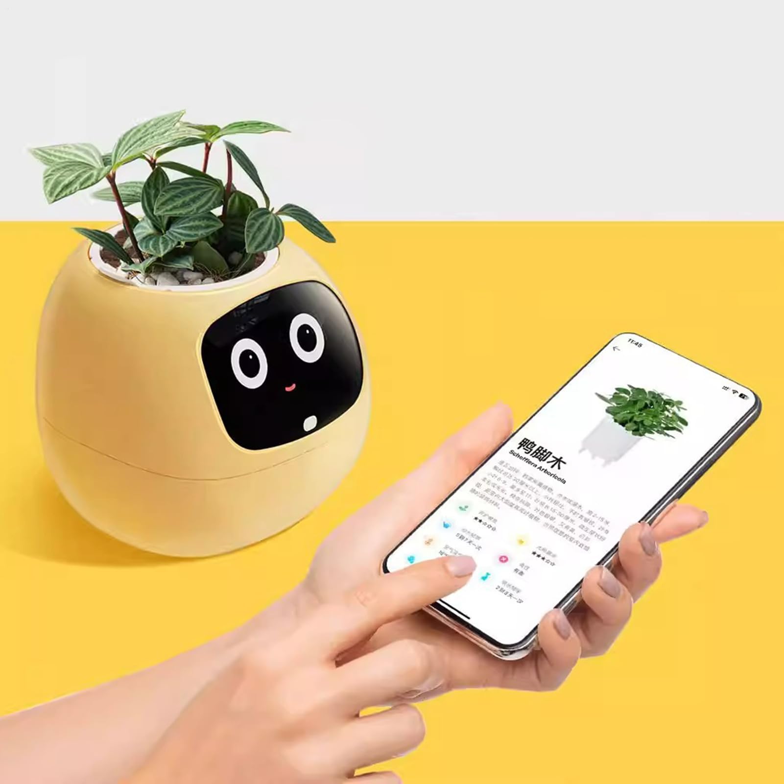 Smart Flower Pot – Smart Pet Flowers Pot – Intelligent Interactive Flower Pot | per interni, appartamento, ufficio, soggiorno, camera da , balcone, patio, principianti, compleanno, San