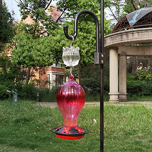 Glass Ant Moat for Hummingbird Feeder - 3 OZ Clear Tulip Insect Guard with Large Capacity