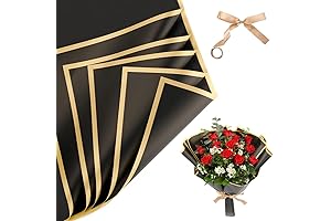 20 Sheets Elegant Black Ramo Paper