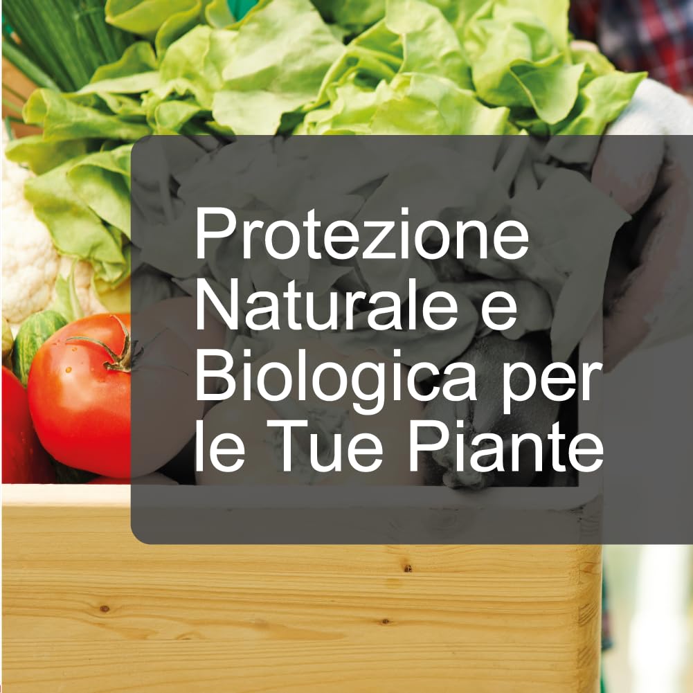 Olio di Neem - insetticida naturale biologico solubile in acqua (1 litro) + Sapone Molle di Potassio (1 litro)
