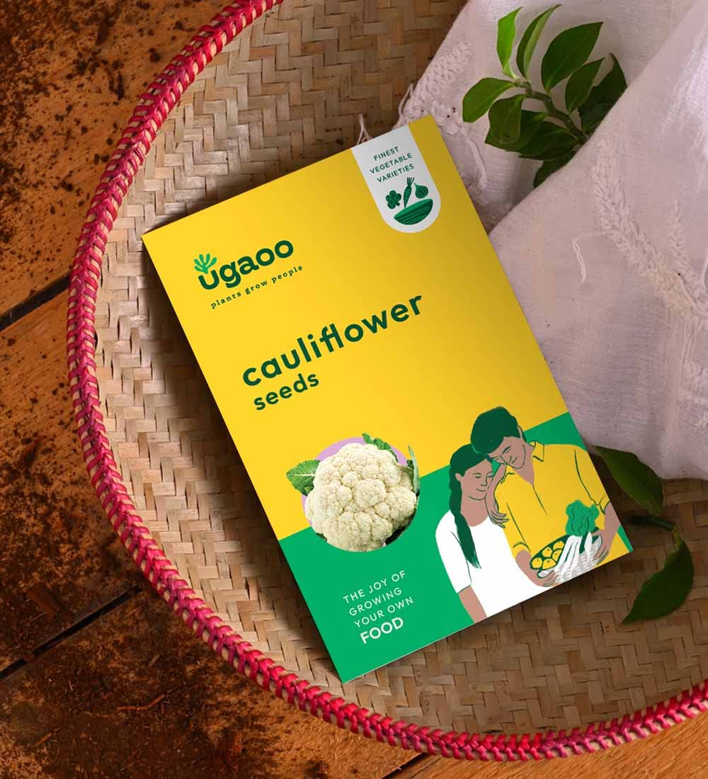 UGAOO Cauliflower Vegetable Seeds (White, Pack of 400mg)