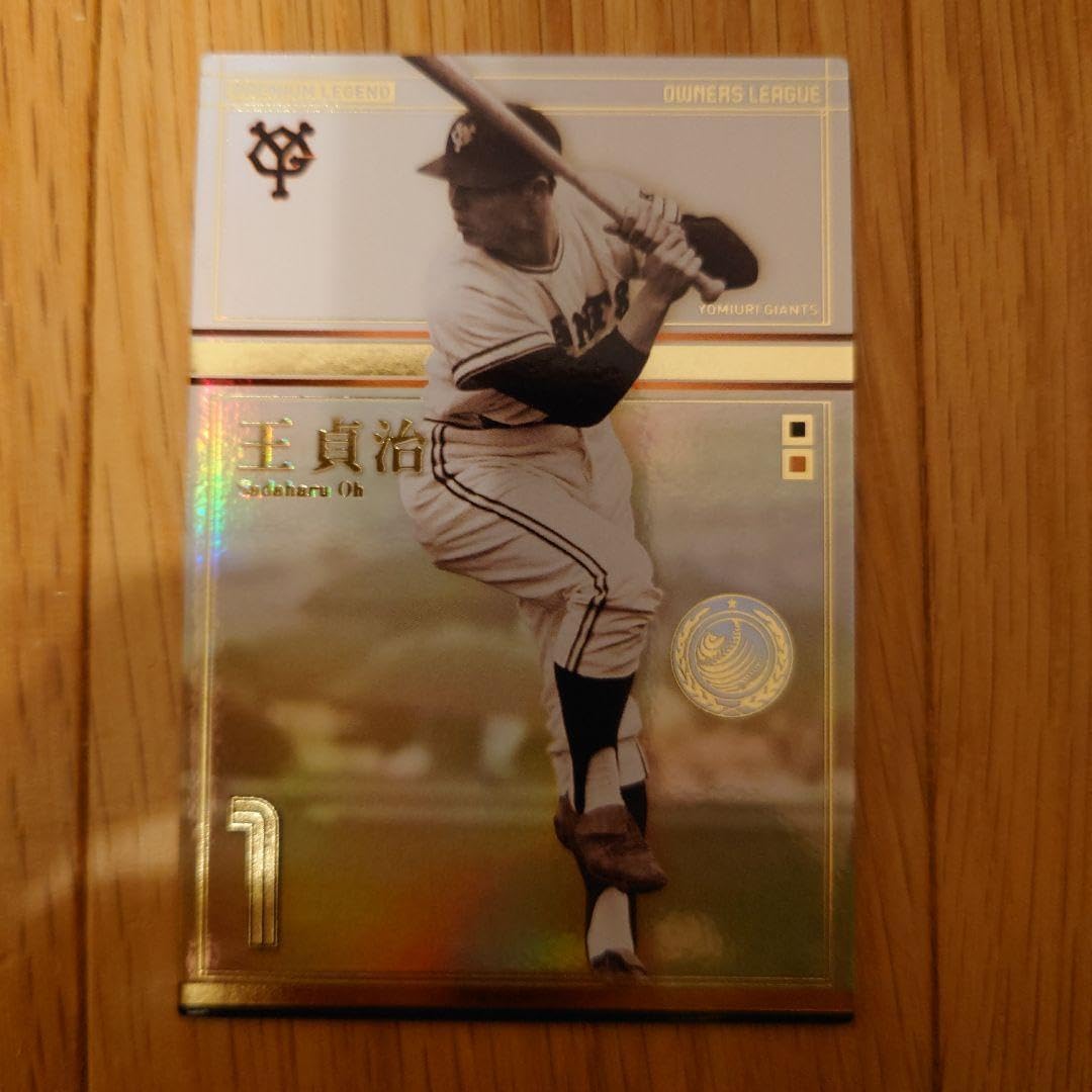 サザンオールスターズ　1996 年越しライブ　USHI ダウンベスト✨️未使用✨️ サザンオールスターズ 1996 年越しライブ USHI ダウンベスト✨️未使用