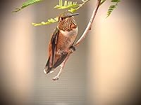 Review Image by JD JD