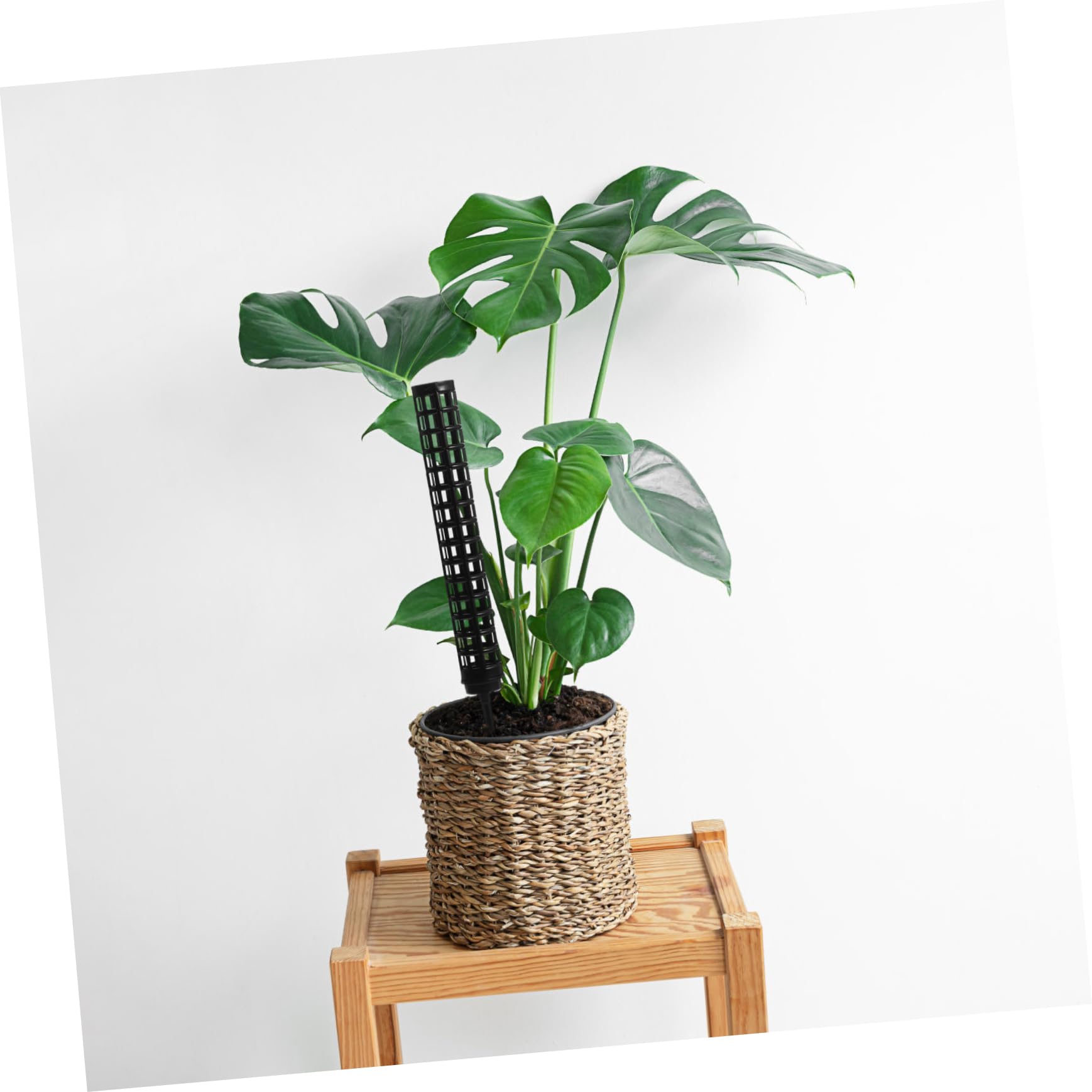 Happyyami 6stücke Moosstäbe Für Pflanzen Hohe Rankhilfe Seil Für Kletterpflanzen Und Zimmerpflanzen Für Monstera Efeutute Und