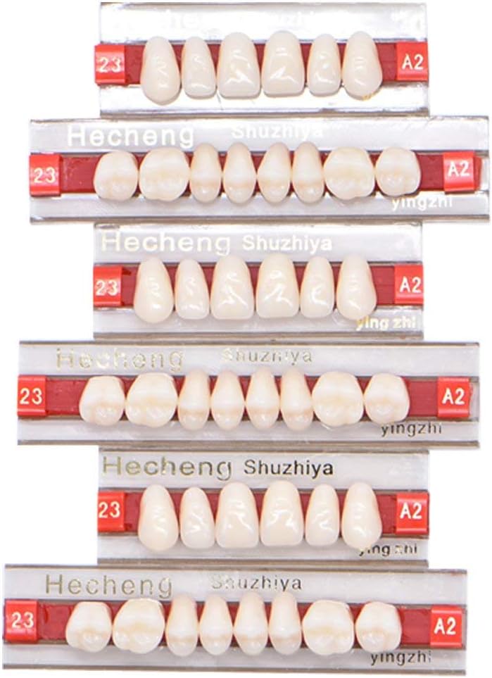 84 Pcs Dental Synthetic Resin Tooth Denture 3 Sets False Teeth for Halloween Horror Teeth 23 A2