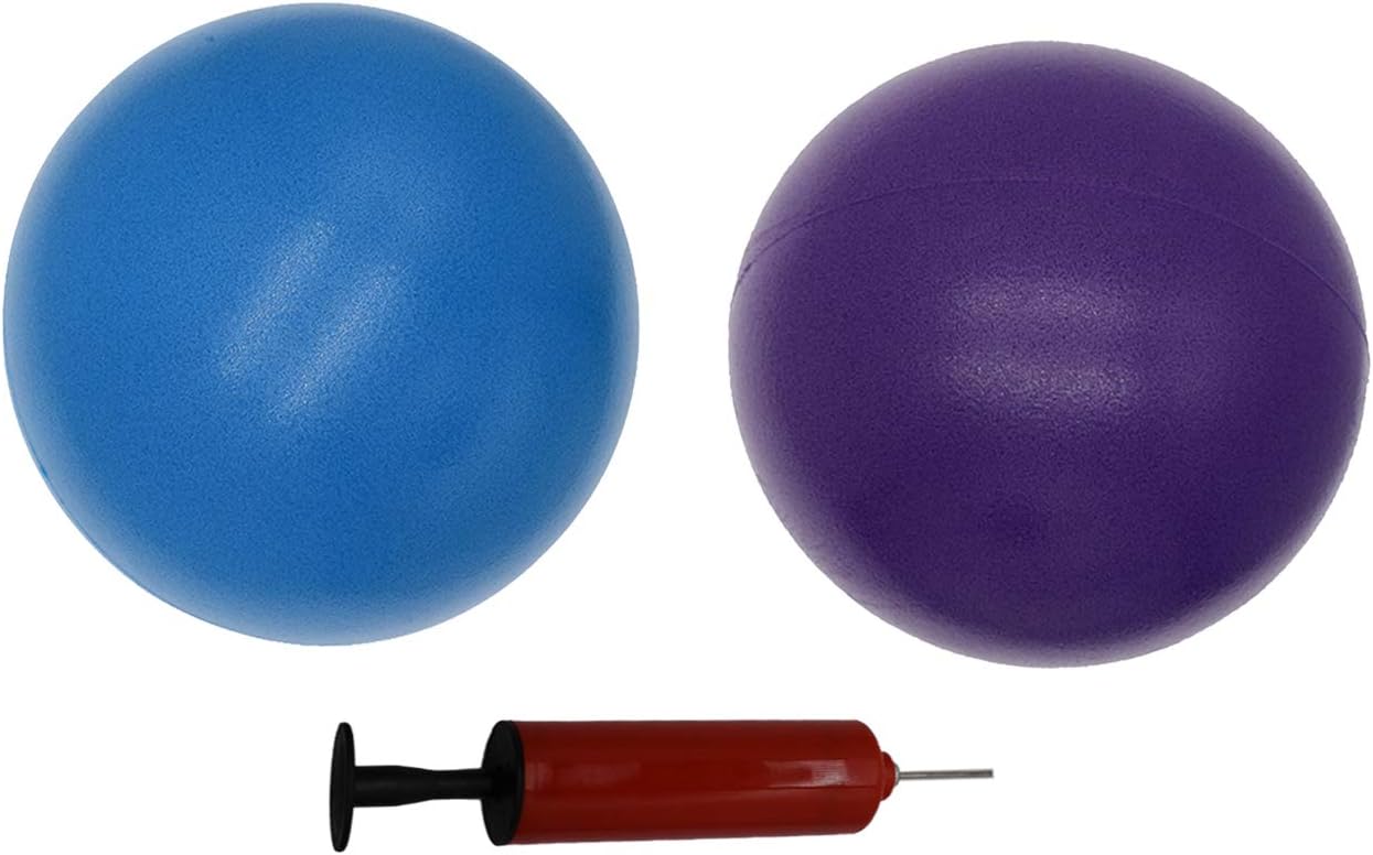 Exercise Ball Small, 6 inch Small Ball for Pilates with Pump, 6 in Barre Ball, 6" Stability Ball Mini Yoga Ball for Women Workout Fitness Physical Therapy PT, Purple+Blue, 2pcs: Sports & Outdoors