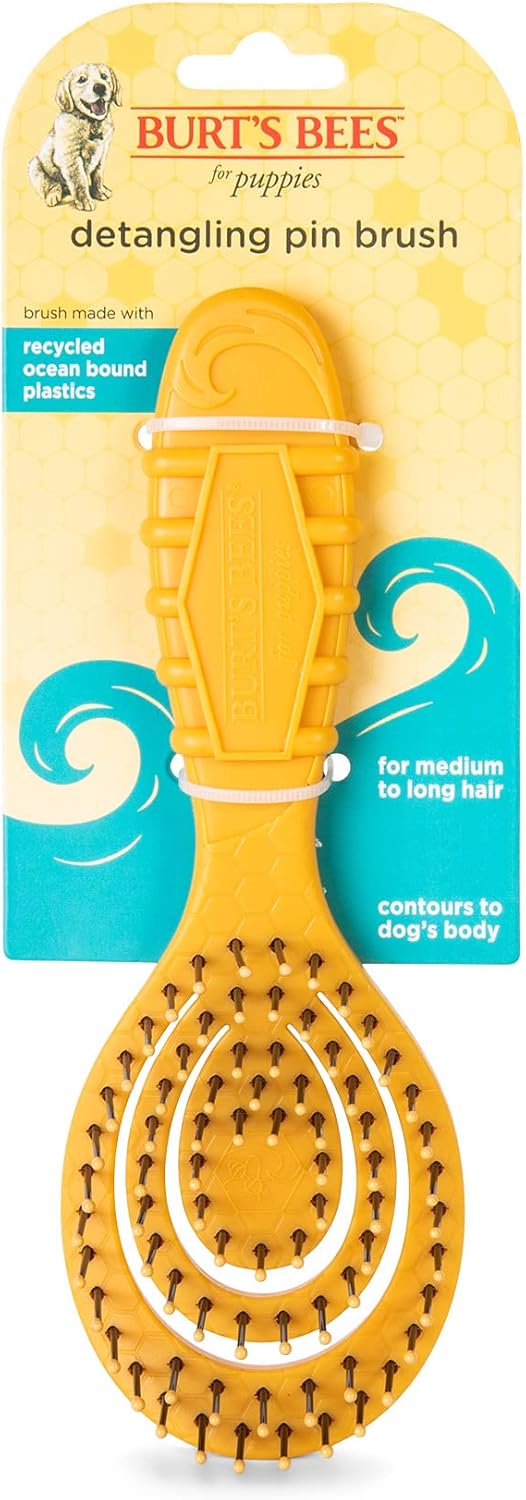 Burt's Bees for Pets Detangling Pin Brush for Puppies and