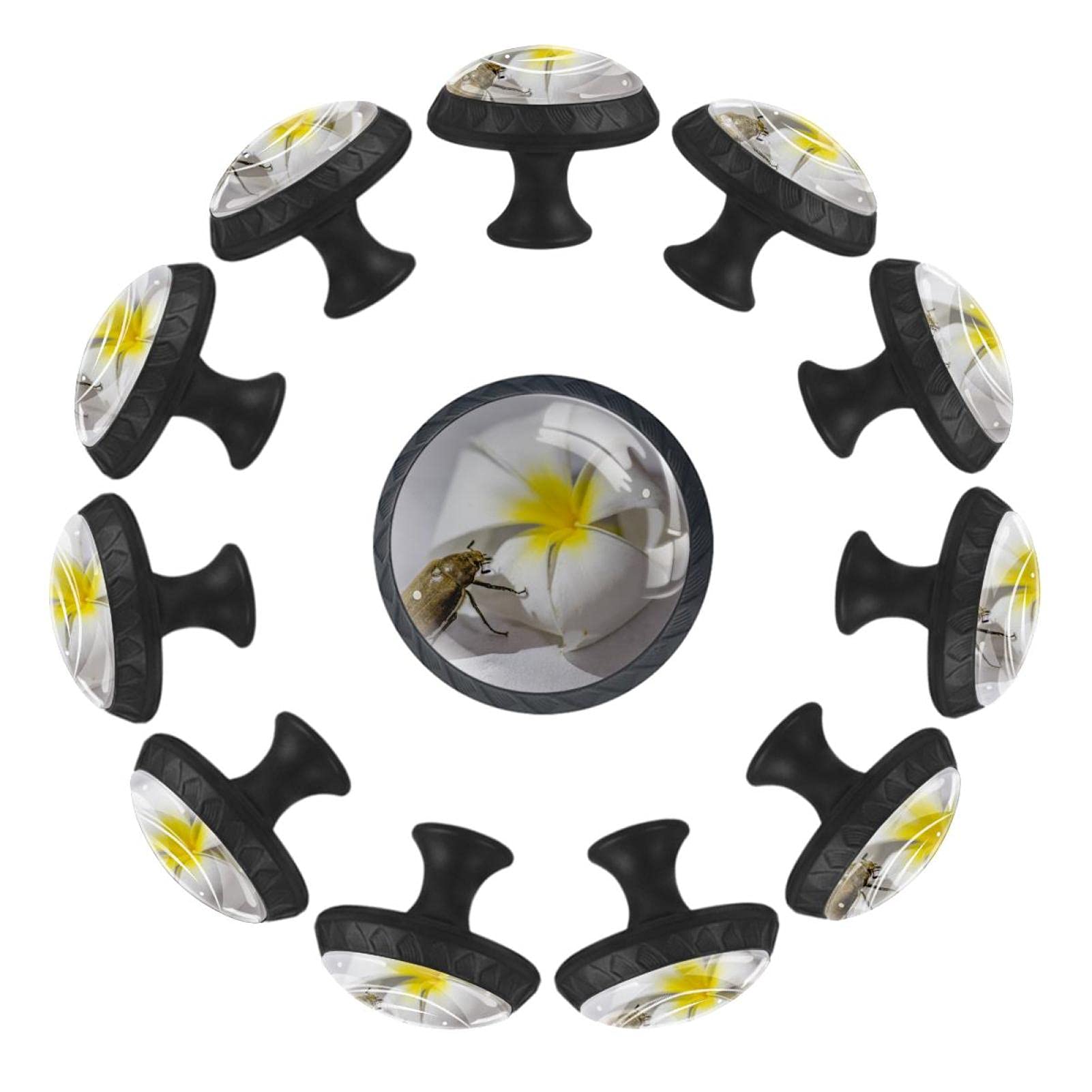Boutons de tiroir ronds lot de 12 au format ergonomique 35 mm Beetle
