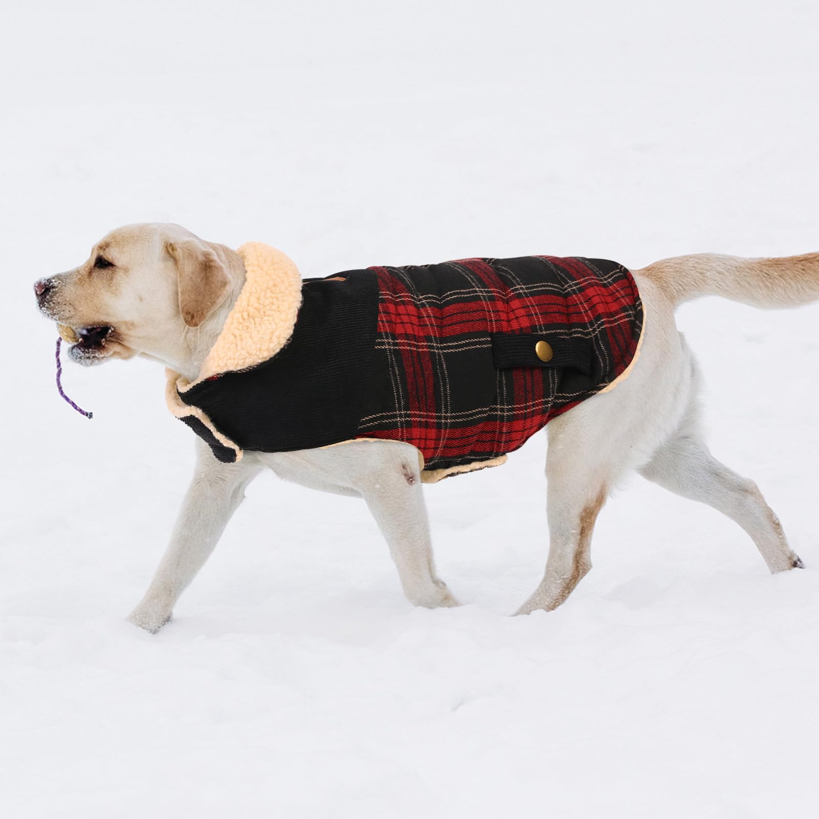 CITÉTOILE Abrigo para Perro Invierno - Chaleco Polar Grueso con Estampado Tartán, Ropa Cálida para Perros Pequeños/Medianos, Chaqueta Térmica Chihuahua o Teckel, Rojo, XS