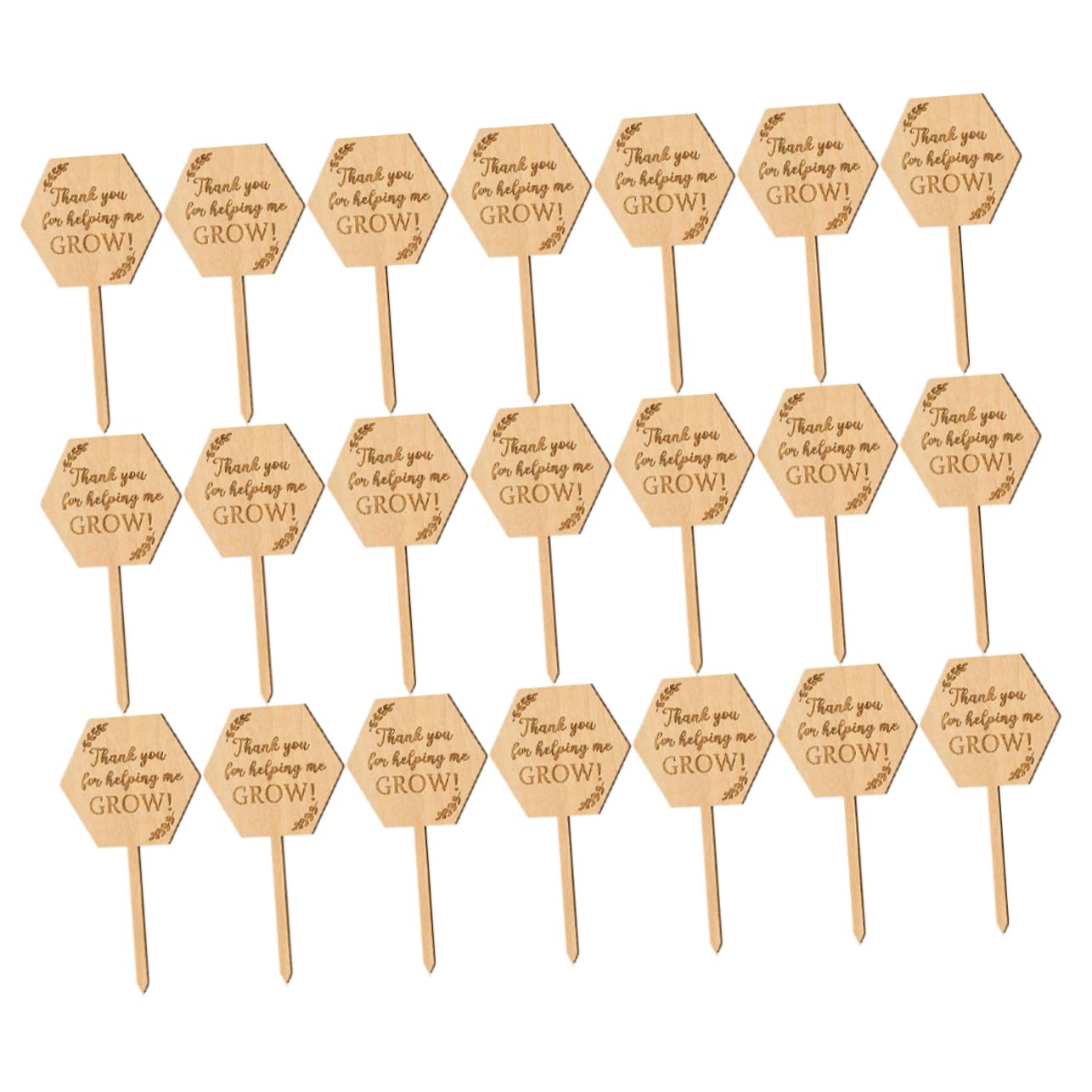 TOYANDONA 5 Sätze Holzetikett Saftige Etiketten Name Gartenmarkierung Outdoor- Kräuterbezeichnungen Pflanzenidentifikationsetikett Gartenpflanzenmarker Holzpflanzenmarker 40 Stück * 5