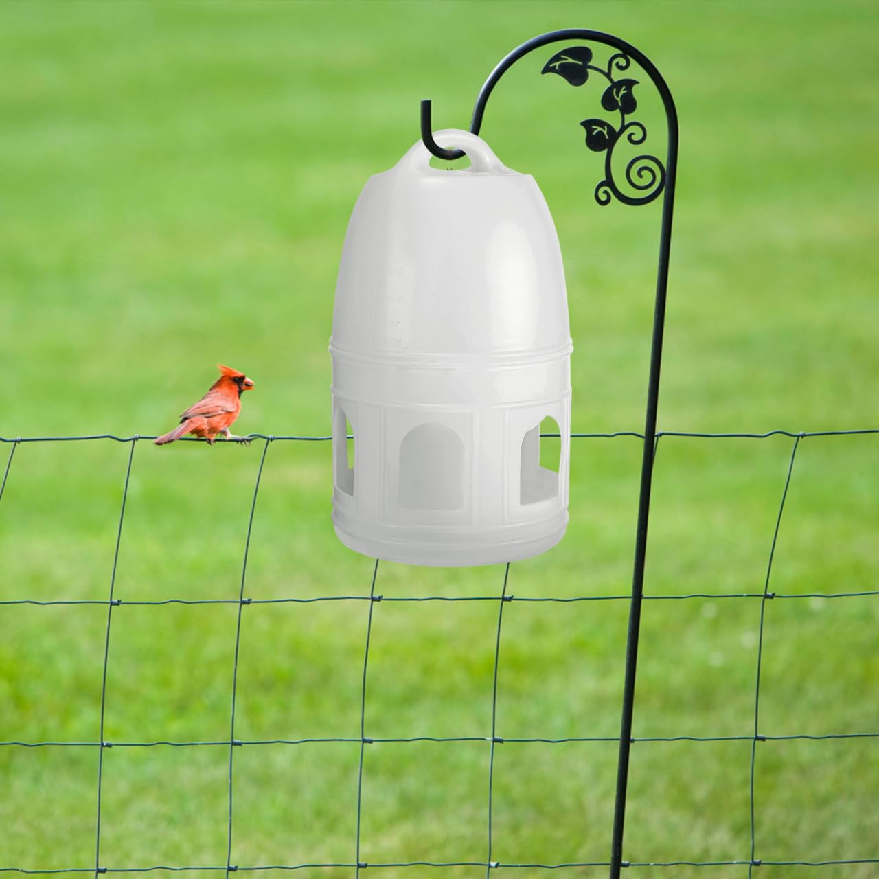 Dispensador de bebedero de plástico para pájaros de POPETPOP para alimentar a las palomas, contenedor de agua para pájaros – Comedero automático dispensador de agua y jaulas para pájaros