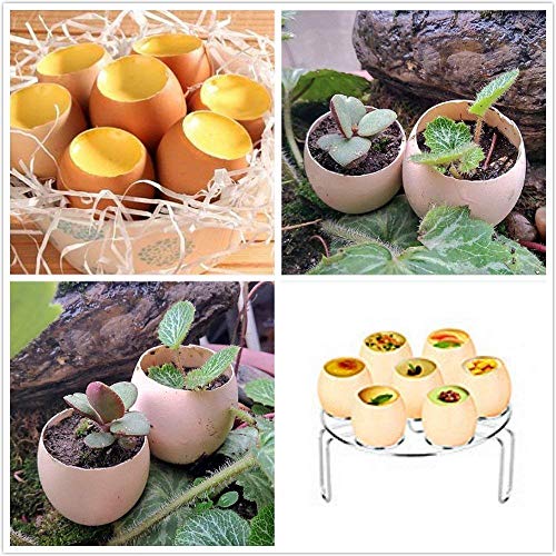 Egg topper cutter, stainless steel egg opener for raw, soft or hard boiled eggshell