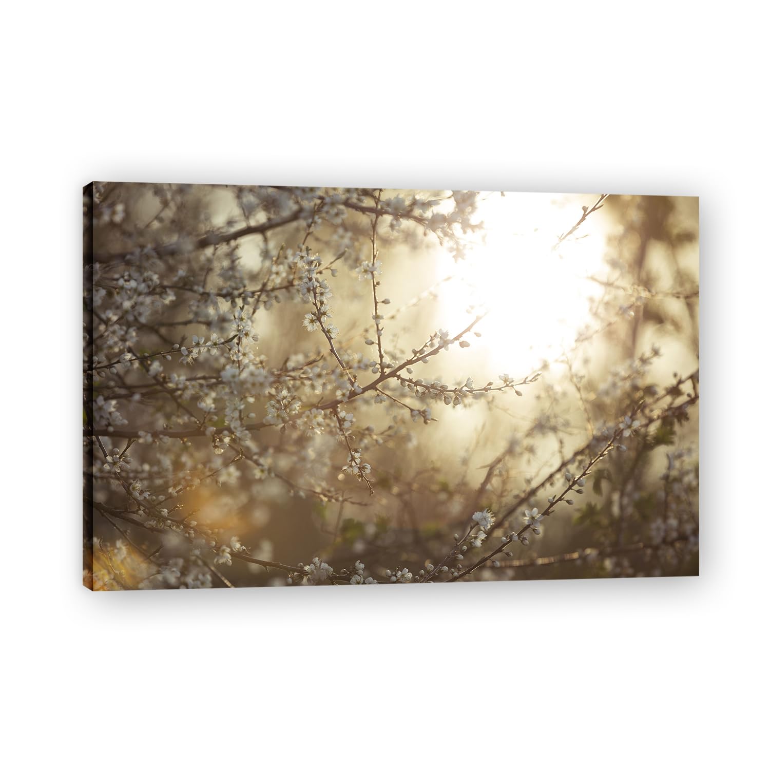 VHdfgTY BrightElegant Mountain Landscape Canvas Wall Art Nature Scenery Home Decor 50x75cm Framed