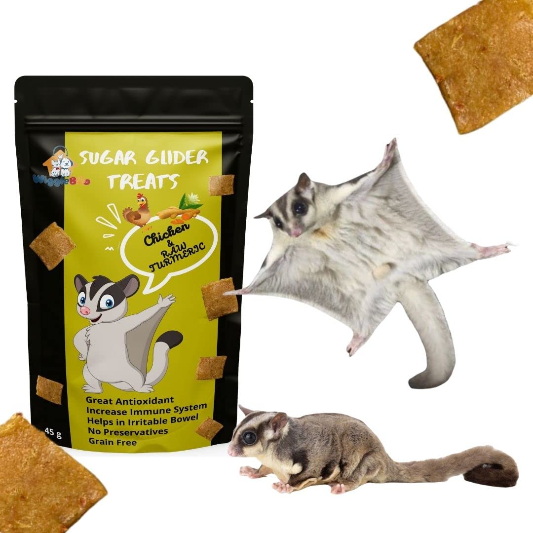 WiggleBoo Chicken & Raw Turmeric Suger Glider Treat | Protein Rich | Fiber Rich | Crunchy Healthy Snacks | 45 G ,All Life Stages
