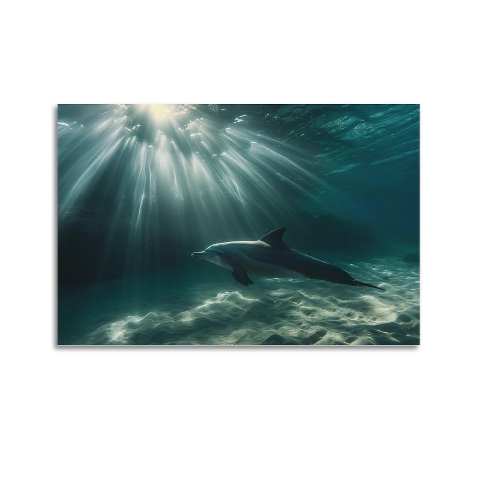 MJZLQN Marine Animal Poster Dolphins Under Sunlight Poster Decorative Painting Canvas Wall Posters And Art Picture Print Modern Family Bedroom Decor Posters 20x30inch(50x75cm)