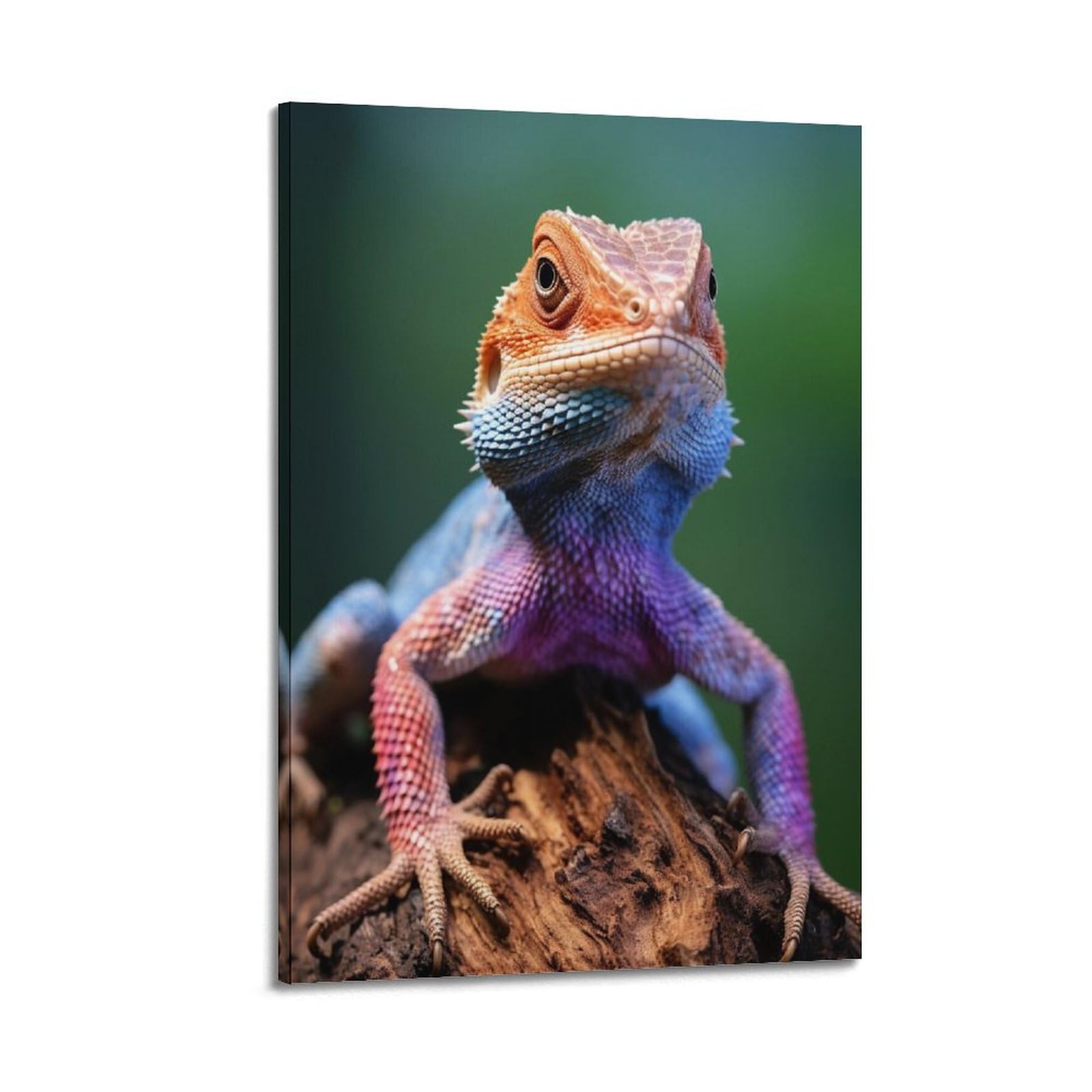 KYTIN Animal Poster Colourful Chameleon Agama Lizard Decorative Painting Canvas 16x24inch(40x60cm)