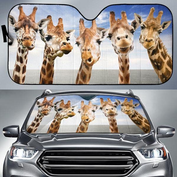 Pare-soleil voiture pliable imperméable universel pour pare-brise de SUV