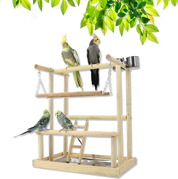 Holzsammlung Parrot Playground - Stand with Ladder & Perch for Small Birds - 1