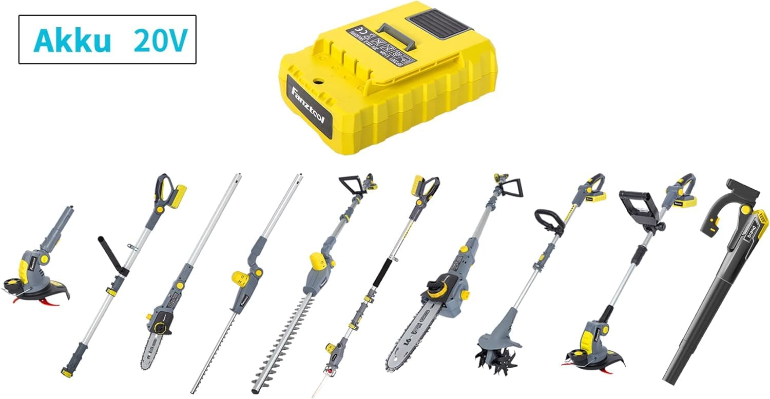 FANZTOOL Batteria di ricambio da 20 V, 2500 mAh al litio per tutti i dispositivi FANZTOOL