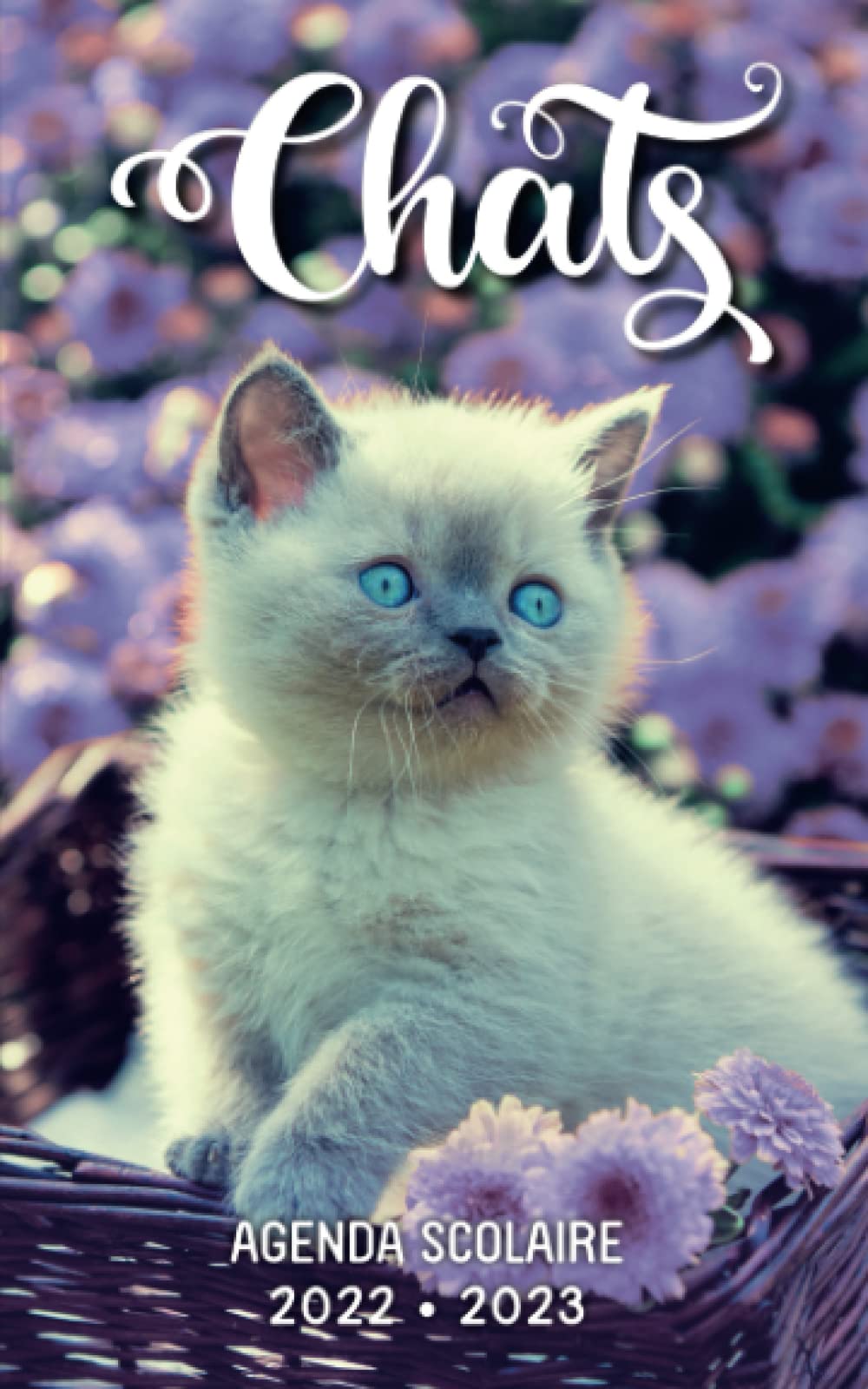 Agenda scolaire 2022 2023 Chats: Édition 1 PAGE par JOUR pour devoirs | Septembre 2022 à Juillet 2023 | École primaire, Collège, Lycée et Etudiants | Couverture Chat dans panier