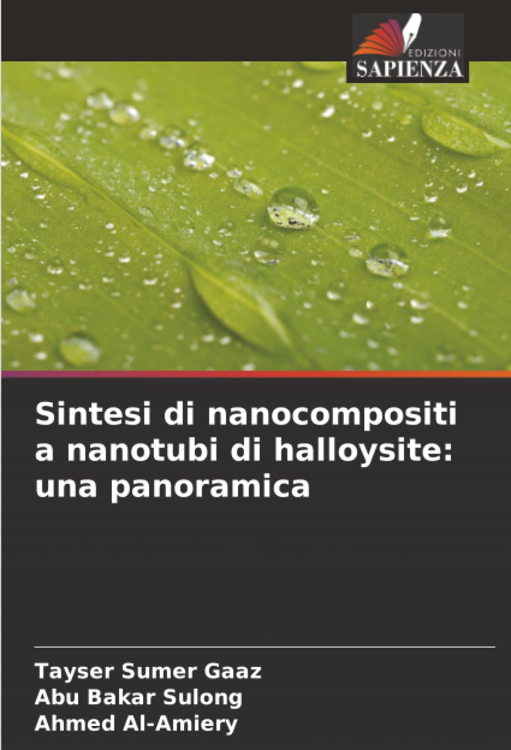 Sintesi di nanocompositi a nanotubi di halloysite: una panoramica